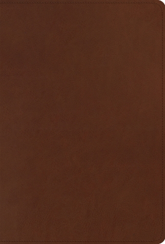 ESV Men's Study Bible