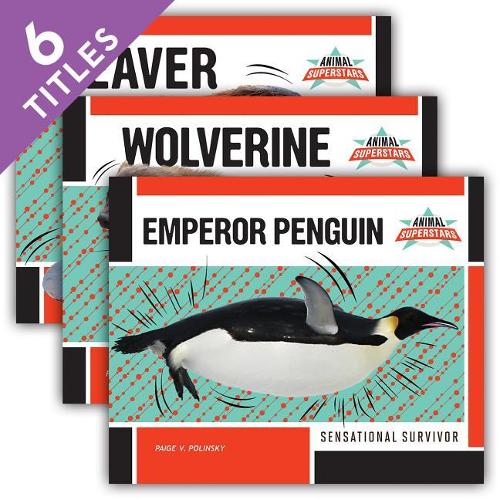 Animal Superstars (Set)