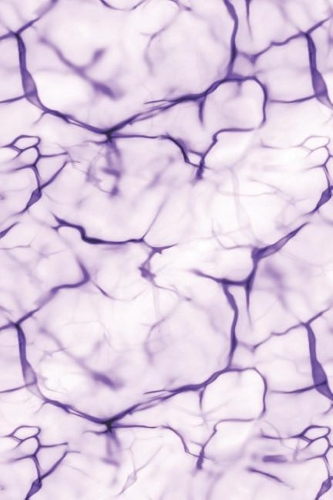 Diabetics Food and Blood Glucose Log and Notebook