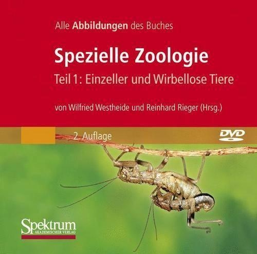 Bild-DVD, Spezielle Zoologie, Teil 1: Einzeller Und Wirbellose Tiere