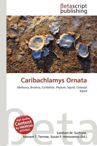 Caribachlamys Ornata