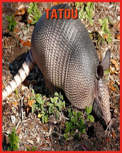 Tatou