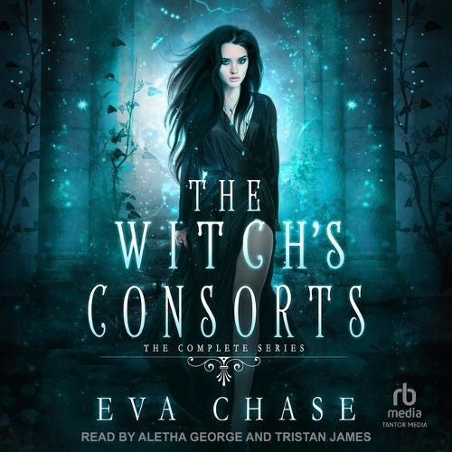 The Witch's Consorts: The Complete Series(1 The Witch's Consorts)