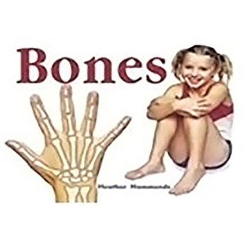 Rigby Focus Early Fluency: Leveled Reader Bookroom Package Nonfiction (Levels I-N) Bones