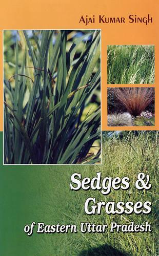 Sedges and Grasses