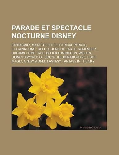 Parade Et Spectacle Nocturne Disney