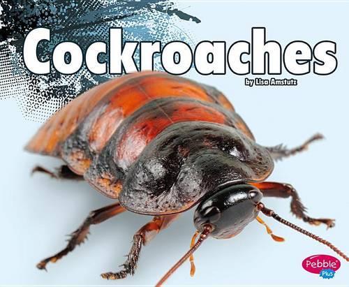 Cockroaches