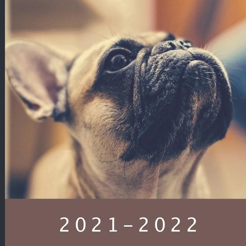 2021 - 2022