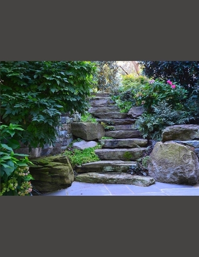 Sectional Stone: Graphing Grids(23 Equatorial Scenes)