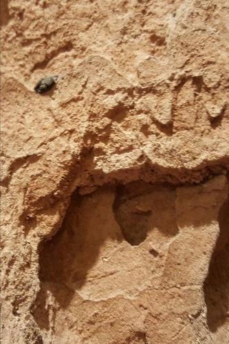 2020 Weekly Planner Geology 134 Pages