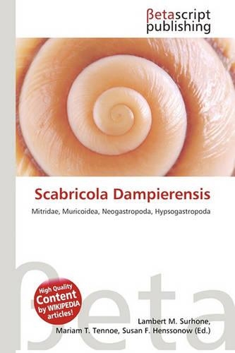 Scabricola Dampierensis