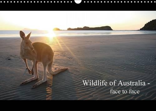 Wildlife of Australia - face to face / UK-Version 2015: Wild animals of Australia in their habitats(Calvendo Animals)
