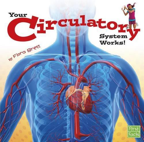 Circulatory: (Your Body System)