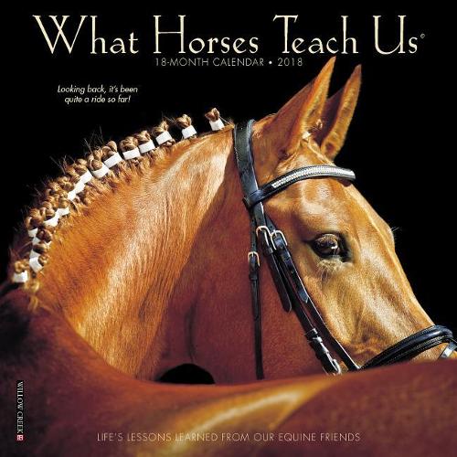 What Horses Teach Us 2018 Mini Wall Calendar