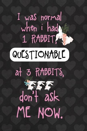 I Was Normal When I Had 1 Rabbit, Questionable At 3 Rabbits, Don't Ask Me Now.