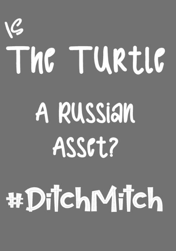 Is the Turtle a Russian Asset? #DitchMitch