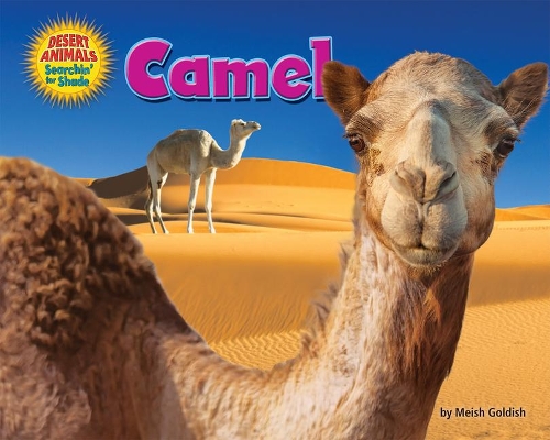 Camel: (Desert Animals Searchin' for Shade)