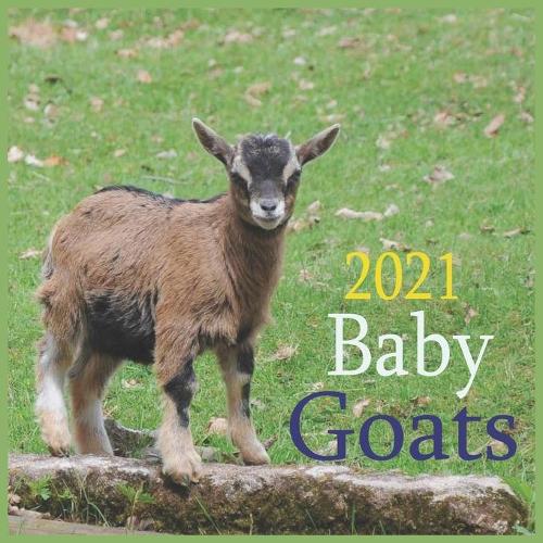 Baby Goats 2021