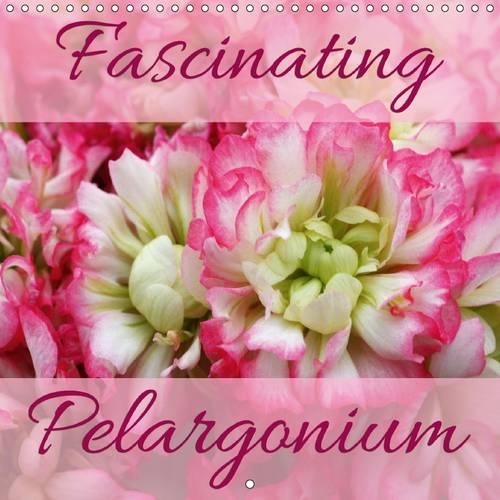 Fascinating Pelargonium 2015: Discover and enjoy 12 fascinating Pelargonium hybrids(Calvendo Nature)