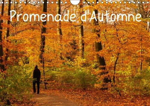 Promenade D'automne 2018: Une Promenade Haute En Couleurs Et Pleine De Serenite.(Calvendo Nature)