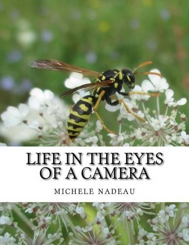 Life in the eyes of a camera: no one is perfect(15 Out of the Mind of Maddness)