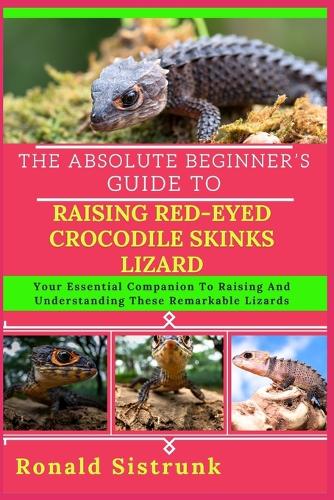 The Absolute Beginner's Guide to Raising Red-Eyed Crocodile Skinks Lizard