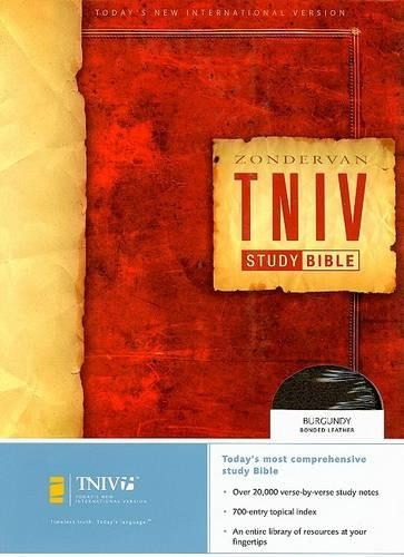 Study Bible-TNIV