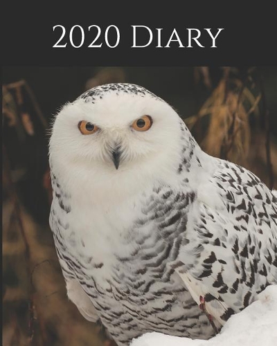 2020 Diary: Weekly Planner & Monthly Calendar - Desk Diary, Journal, Snowy Owl, Alaskan Owls, Alaska, North American Wildlife, Arctic Wildlife, Arctic Owl, Raw (Creative Fusion Diary)