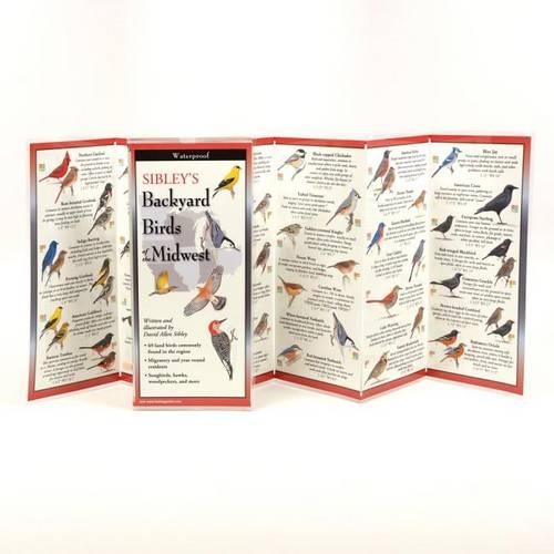 Sibley's Back. Birds of the Midwest: (FoldingGuides)