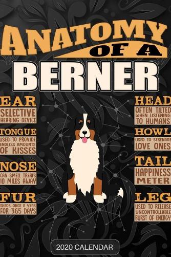 Anatomy Of A Bernese Mountain Dog