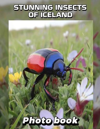 Stunning Insects Of Iceland Photo Book
