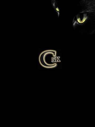 Scrap Catalytic Convert Guide