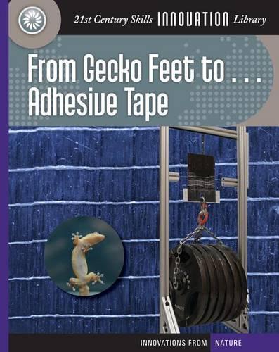 From Gecko Feet to Adhesive Tape