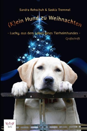 (K)ein Hund zu Weihnachten: Lucky, aus dem Leben eines Tierheimhundes