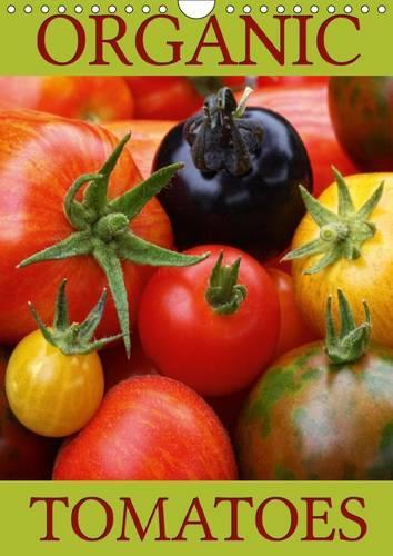 Organic Tomatoes 2015