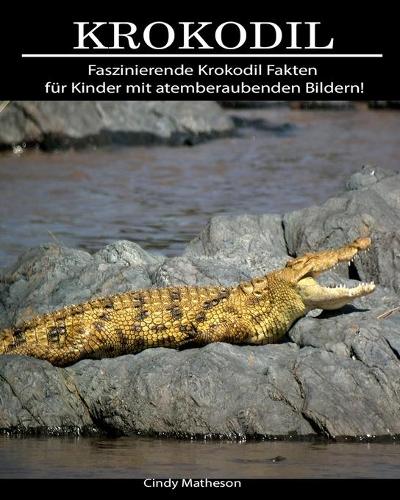 Krokodil: Faszinierende Krokodil Fakten für Kinder mit atemberaubenden Bildern!