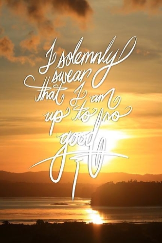 I solemnly swear that I am up to no good