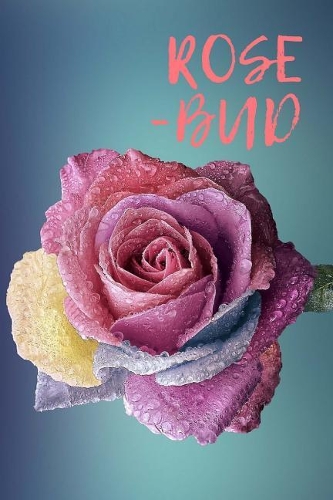 Rose Bud