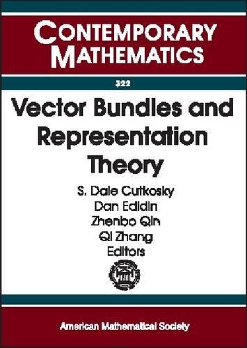 Vector Bundles and Representation Theory: Conference on Hilbert Schemes, Vector Bundles, and Their Interplay with Representation Theory, April 5-7, 2002, University of Missouri, Columbia(Contemporary Mathematics)