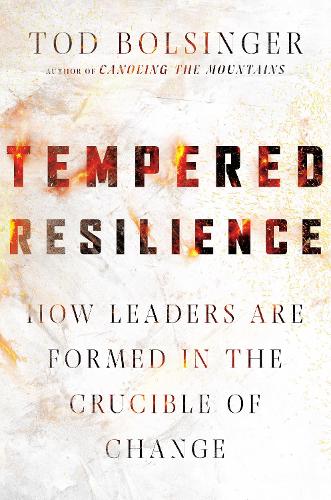 Tempered Resilience – How Leaders Are Formed in the Crucible of Change