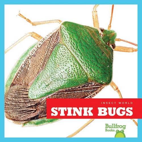 Stink Bugs: (Insect World)