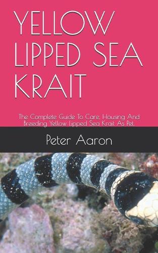 Yellow Lipped Sea Krait