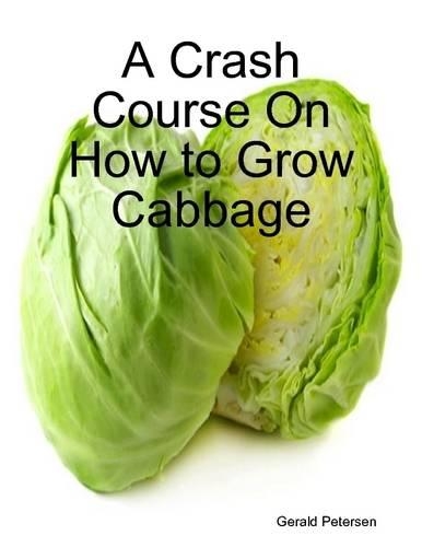 A Crash Course On How to Grow Cabbage