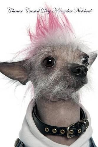 Chinese Crested Dog November Notebook Chinese Crested Dog Record, Log, Diary, Special Memories, To Do List, Academic Notepad, Scrapbook & More