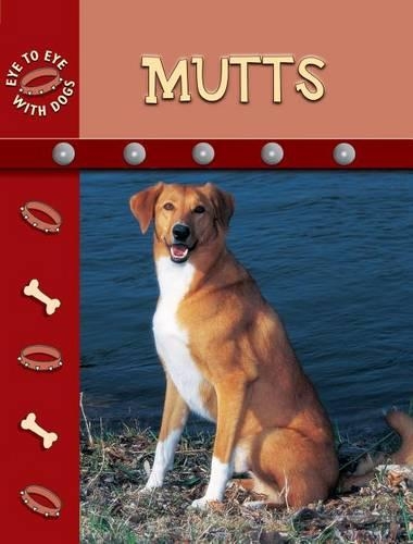 Mutts: (Eye to Eye with Dogs)
