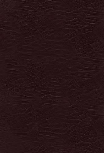 Jesus Calling Devotional Bible-NKJV: Enjoying Peace in His Presence: New King James Version Black Bonded Leather(English)