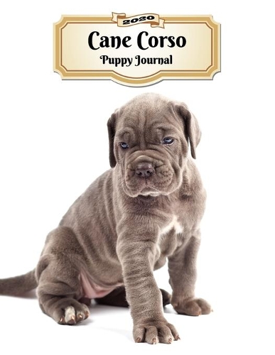 2020 Cane Corso Puppy Journal