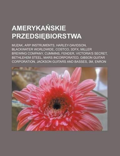 Ameryka Skie Przedsi Biorstwa