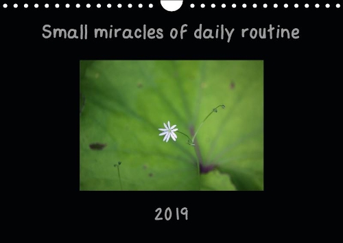 Small miracles of daily routine 2019