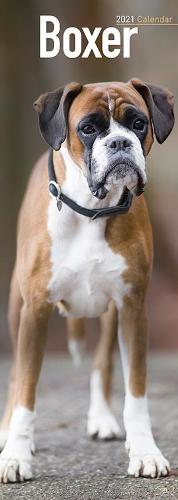 Boxer 2021 Slim Calendar